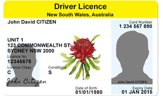 drive licens ephotos